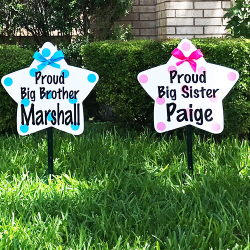 Sibling Stars, Birth Announcement Yard Stork Sign in City of Florence, Darlington, SC